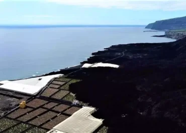 CANARIASAHORA: Coalición Canaria ejecuta el perdón de 3,5 millones de ayudas cobradas irregularmente por plataneros palmeros