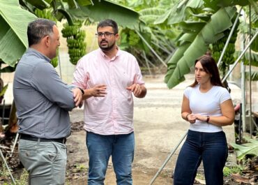 EL TIME: El PSOE espera que CC “cumpla con los agricultores y destine hasta el último céntimo de los 100 millones a la recuperación agraria”