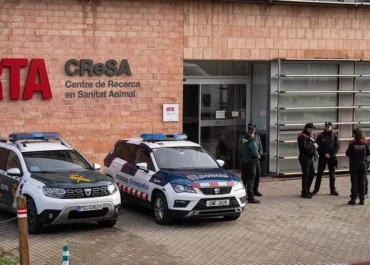 EL DIA: Si la peste porcina no se ha escapado de un laboratorio, ¿de dónde ha salido este nuevo virus? Estas son las teorías que se barajan
