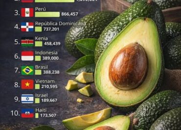worldpopulationreview: Producción de aguacate por país 2025