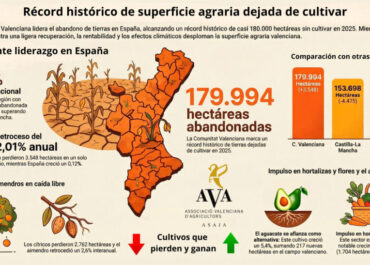 AGROINFORMACIÓN: La C. Valenciana deja de cultivar 3.548 hectáreas en 2025 y bate el récord histórico de 180.000 hectáreas abandonadas