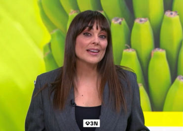ANTENA 3 N: SEGUIMIENTO A NIVEL NACIONAL DE LA CONCENTRACIÓN DEL SECTOR AGRARIO EN SANTA CRUZ DE TENERIFE ORGANIZADO POR LAS OPAS ASAGA, COAG, PALCA Y UPA.