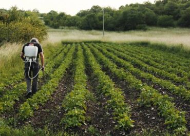 PALMERUS: Gobierno canario y OPAS abordan en una reunión la reconstrucción de La Palma y otras prioridades y retos del sector agrario