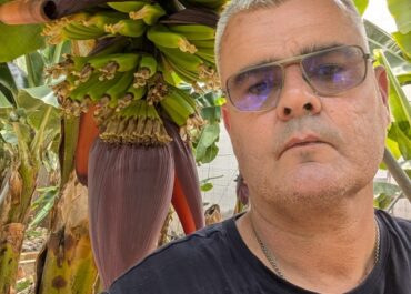 7.7 LA PALMA RADIO: «DETRÁS DE ESTO ESTÁ PALCA; NO ENTENDEMOS QUE PALCA SE PRESTE A ESTO»