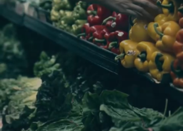 ESTO ES LA MUERTE DEL SECTOR PRIMARIO EN CANARIAS Y EUROPA Y LIQUIDACIÓN DE  LA SOBERANÍA ALIMENTARÍA, DEJANDO ESTE NEGRO FUTURO. «VIVA LA SOSTENIBILIDAD PROPUESTA DE NUESTROS GOBERNANTES».