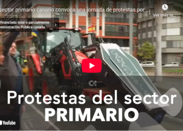 RTVC: El sector primario canario protesta por la situación límite que padece Redacción RTVC Redacción RTVC 29 enero 2026 15:24 Los agricultores y ganaderos canarios se unen a las protestas que el sector ha planteado para este día, «Súper jueves del campo español», que en Canarias se desarrollan bajo el lema «Salvemos el campo canario«