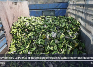 CADENA SER: El campo palmero rechaza la intromisión de organizaciones regionales ausentes durante la reconstrucción La Asociación de Entidades Empaquetadoras, Exportadoras y Comercializadoras de Frutos de La Palma (ASEPALMA) critica duramente a los firmantes de un documento de ASAGA, COAG, UPA y PALCA