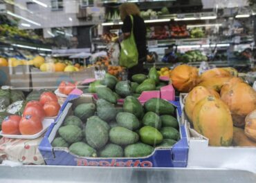 EL DIA: Bruselas destina 7 millones de euros a proteger los mangos y aguacates producidos en España frente a los de Mercosur