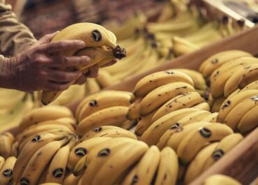 EL ECONOMISTA: El plátano canario pierde cuota frente al empuje de la banana americana