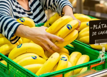 CANARIAS AHORA:  Solo el 6% de los beneficiarios de las ayudas del plátano acapara más de la mitad de hasta 141 millones de euros.      El 55% de los fondos europeos del programa Posei con reparto resuelto para el año 2025, 74,2 millones de euros, se ingresará a 389 productores, mientras que el 45% restante, 60,7 millones, lo recibirán 5.831 pequeños o medianos agricultores, con menos de 200.000 kilos anuales.
