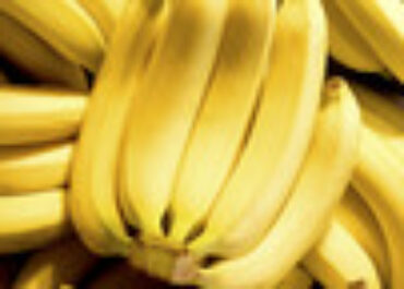 FRESH PLAZA: Las exportaciones de banana de Camerún crecen un 36% en enero