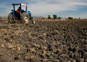 AGROINFORMACIÓN: El Gobierno aprueba ayudas para el gasóleo agrícola, con una rebaja de 20 céntimos, para la compra de fertilizantes y una línea de crédito