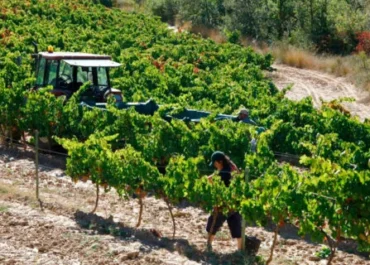 AGROINFORMACIÓN: “España tiene dos años para evitar que Wall Street se adueñe del carbono de sus campos: COAG da la voz de alarma en su último informe