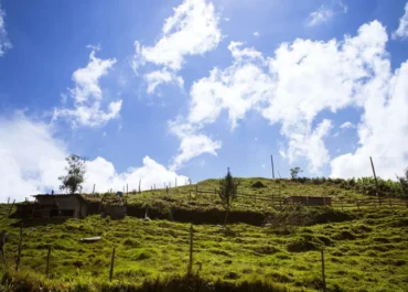 AGROINFORMACION: Nueva propuesta para la PAC: Piden a la comisión ENVI del Parlamento Europea que compense los costes de las exigencias ambientales al sector agrario