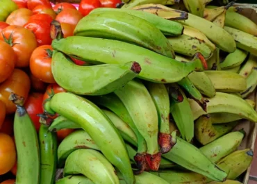 AGROINFORMACIÓN: Alarma en Canarias: la entrada ilegal de plátano macho y mango pone en evidencia los fallos en los controles de las administraciones