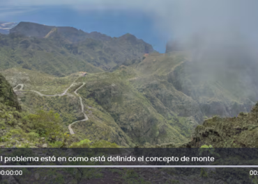 CADENA SER: Los agrónomos advierten de graves consecuencias para el campo canario con el anteproyecto de la Ley de Montes