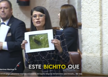 ÁNGELES MARTÍNEZ: El pulgón avanza en el campo almeriense mientras el Gobierno de España niega las herramientas para frenarlo. Europa permite el fitosanitario contra el pulgón… pero España se lo niega a sus agricultores