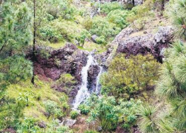 DIARIO DE AVISOS: Therese descarga más de 300 litros en las zonas más castigadas por la sequía La borrasca empapa Vilaflor de Chasna y las cumbres del Sur con lluvias que no se recordaban desde hace más de 15 años. Asaga califica de “providencial” sus efectos en viñedos “prácticamente muertos”
