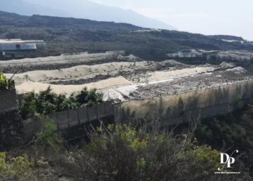 DIARIO PALMERO: Más de 4.000 plataneros de La Palma siguen a la espera de las ayudas por la ceniza Los agricultores plataneros de La Palma no pueden seguir esperando. Se trata de una deuda justa, reconocida y aún pendiente de pago.