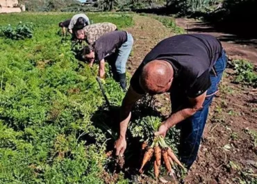 EL DIA: Canarias lleva a los tribunales al Ministerio de Agricultura por recortar 7,4 millones de los fondos europeos rurales