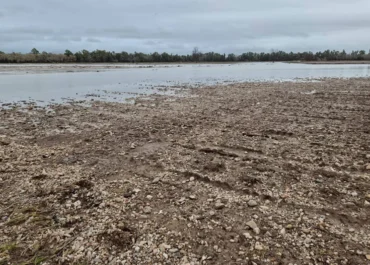 AGROINFORMACIÓN: El Ministerio de Agricultura publica el segundo listado con más de 27.000 beneficiarios de las ayudas directas por daños de las borrascas