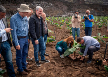 «CONVIENE RECORDAR LAS PROMESAS» CANARIAS EXTERIOR: El presidente de Canarias, Fernando Clavijo, comunicó 4 de abril en el acto de siembra de la primera finca reconstruida tras la erupción del volcán Tajogaite, en La Palma, la concesión de una partida de 10 millones de euros del Gobierno canario que se destinará a compensar la pérdida de renta de los agricultores desde la erupción y para sufragar el coste de la limpieza de las cenizas expulsadas por el volcán.