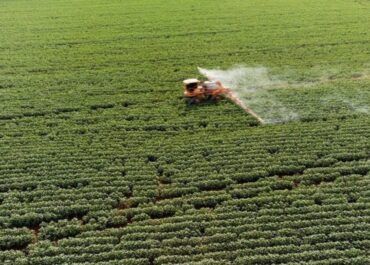 ONDA REGIONAL:  La polémica sobre el insecticida Movento revela el fin de un modelo agrícola en la UE  Organizaciones ambientales defienden alternativas al pesticida prohibido, mientras alertan sobre la necesidad de adaptarse a un sistema agrícola más sostenible y con menos plaguicidas
