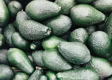 HOY.ES: Grave alerta alimentaria: Francia advierte de la presencia de plomo en aguacates españoles