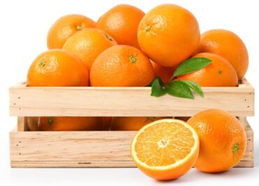 PORTALFRUTICOLA: Producción de naranjas en Brasil cierra campaña 2025-2026 con alza de 26,9%, pero bajo estimaciones iniciales