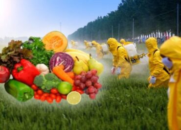 DIARIO CONSTITUCIONAL: Justicia francesa ratifica prohibición de frutas y verduras que contienen pesticidas prohibidos en la Unión Europea