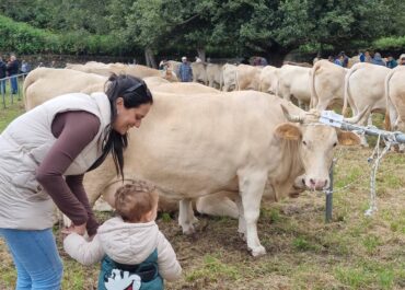 EL APURÓN: La Feria de San Isidro, un lugar de encuentro con los ganaderos y el campo palmero