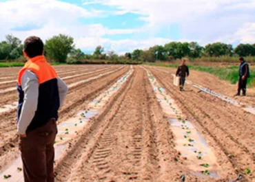 AGROINFORMACIÓN: La reforma de la PAC no vale de excusa: recuerdan a Planas que se comprometió a aprobar la Ley de Agricultura Familiar en esta legislatura