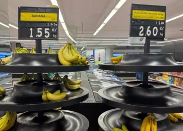 CANARIAS AHORA:  Calor, exceso de oferta y bajo consumo llevan al plátano de Canarias a recordar los precios de la crisis de 2023      El precio en origen de la fruta enviada al resto de España vuelve a caer, esta vez el 20% en solo una semana, de la 28 a la 29, del 13 al 19 de julio y la última con datos del MAPA; el agricultor solo recibirá por esas partidas 0,41 euros por kilo, la auténtica ruina que le remunera el mercado, que lo vende a 2,60