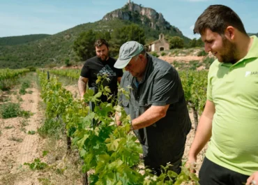 AGROINFORMACION: Denuncian que el Gobierno ha dejado fuera de las ayudas a los fertilizantes a los jóvenes agricultores incorporados el 2026