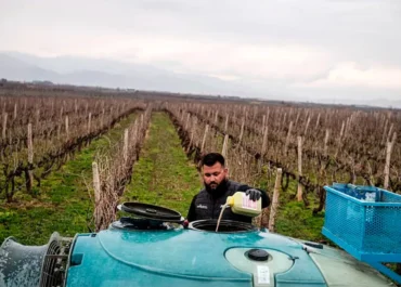 AGROINFORMACIÓN: La Asamblea francesa aprueba la ley agrícola de emergencia con la posibilidad de autorizar excepcionalmente el uso de dos pesticidas prohibidos