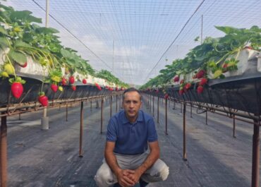 LA TRIBUNA DE CANARIAS: Elías Marrero, nuevo delegado del Colegio Oficial de Ingenieros Agrónomos de Centro y Canarias en Santa Cruz de Tenerife  • Según el delegado, el Colegio debe exigir que la planificación territorial contemple la actividad agrícola para que pueda coexistir con otros usos.