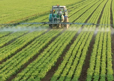 MERCADOS:  La UE acelera la simplificación normativa en fitosanitarios. Tomás García Azcárate En un artículo anterior publicado en Plataforma Tierra abordé la necesaria armonización europea de los fitosanitarios, explicando el sistema de homologación, los usos autorizados, el coste y duración del proceso y la evolución de las sustancias autorizadas. También analicé dos problemas clave para el sector: los “usos menores” y los “productos huérfanos”, así como las autorizaciones “excepcionales”.