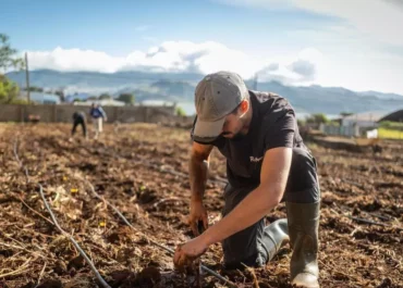 EL DIA: El Cabildo de Tenerife impulsa la digitalización del campo para mejorar la gestión del agua La institución insular estudia nuevos proyectos para aplicar sensores, inteligencia artificial y herramientas predictivas en las explotaciones agrícolas