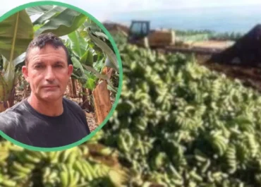 ATLÁNTICO HOY: La destrucción de más de 630.000 kilos de plátanos vuelve a poner en jaque al campo canario: «La salida no puede ser tirar el plátano» Juan Carlos Rodríguez, portavoz de la Plataforma Por un Precio Justo Para el Plátano, cuestiona que se destruya producción mientras las familias pagan más de dos euros por un kilo en los supermercados