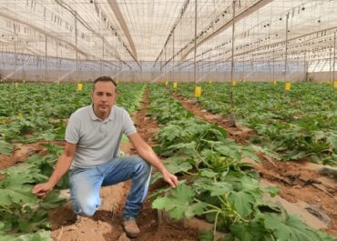 LA TRIBUNA DE CANARIAS: Elías Marrero: “La agricultura canaria necesita producir más valor con los mismos recursos”  Elías Marrero. Delegado del Colegio Oficial de Ingenieros Agrónomos de Centro y Canarias