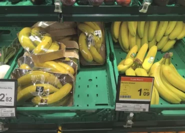 CANARIAS AHORA:  Los plataneros de Canarias repiten remuneración ruinosa por la fruta vendida en septiembre: 0,32 euros el kilo      El precio medio en origen que publica el MAPA para la semana 36 experimenta un pequeñísimo ascenso al pasar de los 0,325 euros por kilo de la 35, el peor registro del año, a los 0,329, segunda marca más baja; Asprocan habla de lenta mejoría y fija un embarque de casi siete millones de kilos del 14 al 20 próximos