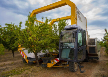 PÚBLICO: Los fondos de inversión tensionan el campo español comprando las mejores tierras, inflando precios y amenazando el modelo agrícola tradicional      El capital invertido en cultivos hiperintensivos de almendro, pistacho y olivo aumentó un 50% en España y Portugal el último año.      Entrecanales, Del Pino, Matutes, Botín y Roig son algunos de los apellidos asociados a los fondos interesados en el agronegocio, según una investigación de Público.