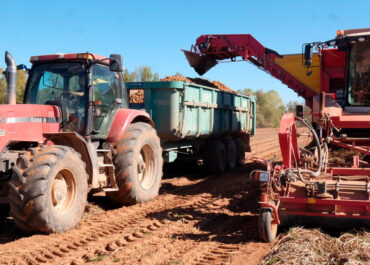 AGROINFORMACION: Los datos oficiales confirman la debacle económica que sufre el campo de Castilla y León y ratifican la situación límite que vive el sector