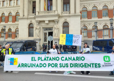 FRESH PLAZA:  Plataforma Agraria Libre pide dimisiones en Asprocan por precios ruinosos del plátano  La Plataforma Agraria Libre de Canarias denuncia que los productores de Plátano de Canarias llevan más de dos meses vendiendo su fruta por debajo de los costes de producción, con muchas explotaciones «al límite de su capacidad económica» y pérdidas que la organización califica de millonarias.