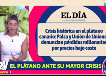 RTVC: DANDO VISIBILIDAD A LA DENUNCIA DE PALCA- UNION DE UNIONES  SOBRE  LOS PRECIOS DE RUINA QUE COBRARAN  LOS PLATANEROS CANARIOS POR LA FRUTA VENDIDA EN LOS ÚLTIMOS MESES.