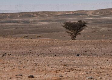 OKDIARIO: Marruecos está bombeando agua del Atlántico hasta el Sáhara para transformar 5.200 hectáreas de arena en campos de cultivo Marruecos desala agua del Atlántico para regar 5.200 hectáreas en Dajla