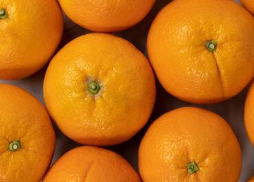 PORTALFRUTÍCOLA: udáfrica cierra las exportaciones de naranjas Valencia a la Unión Europea para 2026
